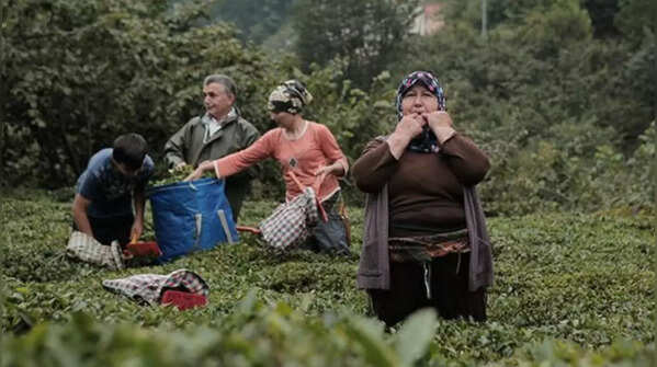 ​The dying birdsong and chirpy language which is spoken by the people of only one village in the world 