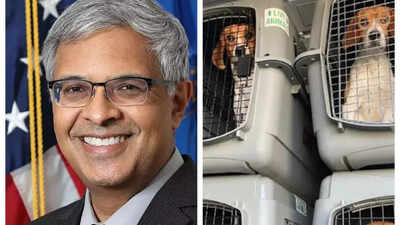 Indian-American Jay Bhattacharya ends brutal medical experiments on beagles, Elon Musk reacts Indian-American Jay Bhattacharya ends brutal medical experiments on beagles, Elon Musk reacts